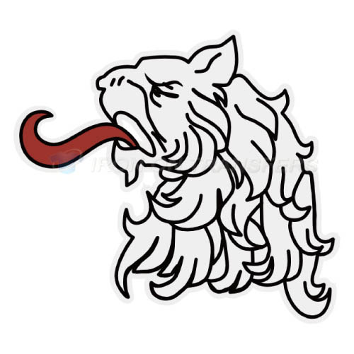 Dinamo Riga Iron-on Stickers (Heat Transfers)NO.7218